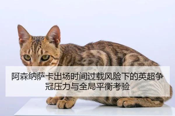 阿森纳萨卡出场时间过载风险下的英超争冠压力与全局平衡考验